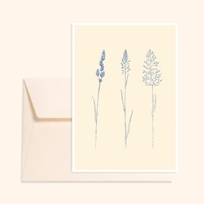 Gräser Postkarte