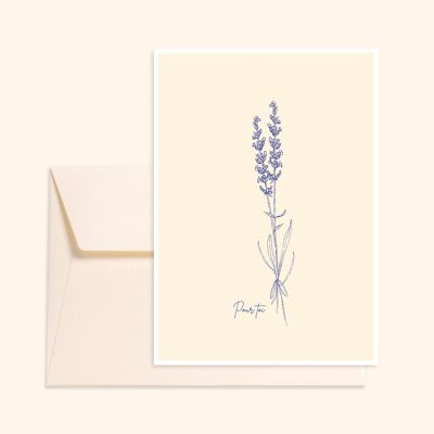 Lavendel-Postkarte