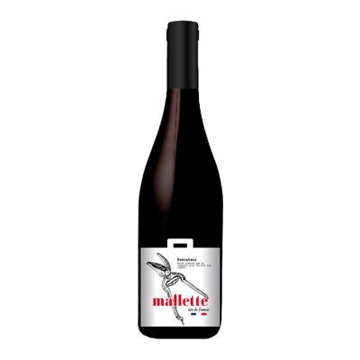 Valigetta – Vino rosso dalla Francia