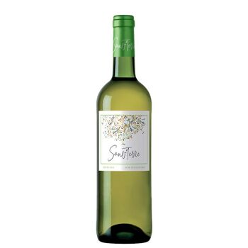 SAUV’TERRE- Bordeaux Blanc BIO