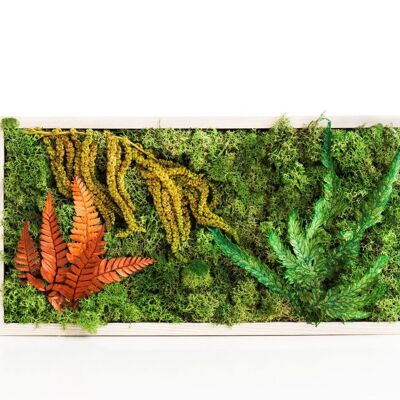 Preserved moss box with ferns