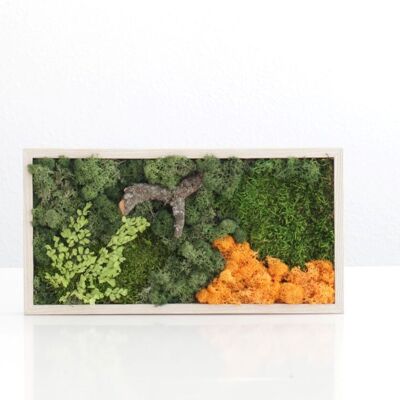 Orange moss box with preserved ferns