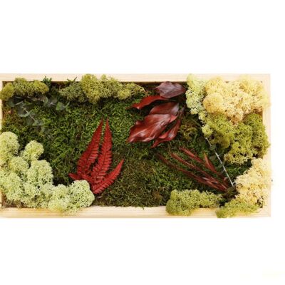 Preserved moss box with ferns and red ivy
