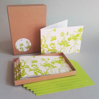 Meadow Herbs (Green Print) - Gift box containing five recycling cards