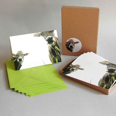 Vacas - caja de regalo con seis tarjetas plegables