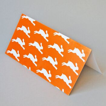 10 cartes de Pâques orange avec enveloppes transparentes : lapins sauteurs 2