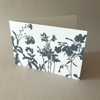 10 cartes de sympathie avec enveloppes grises : herbes des prés 2