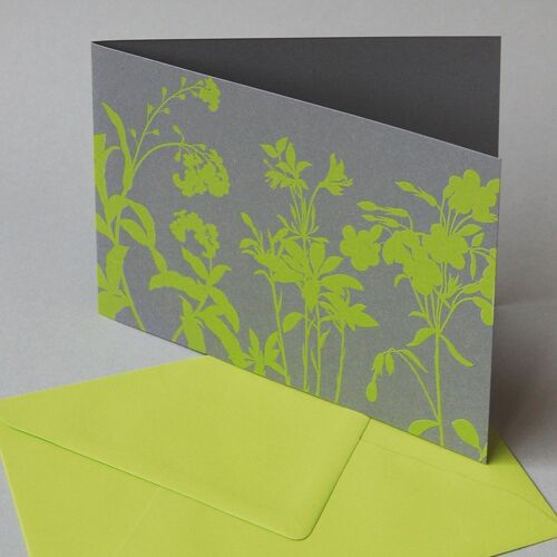 10 Recycling-Grußkarten mit hellgrünen Kuverts: Wiesenkräuter