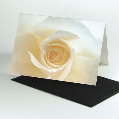 20 nécrologies avec enveloppes noires : rose blanche