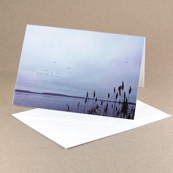 10 cartes de sympathie avec enveloppes lignées : Roseaux au bord du lac 1