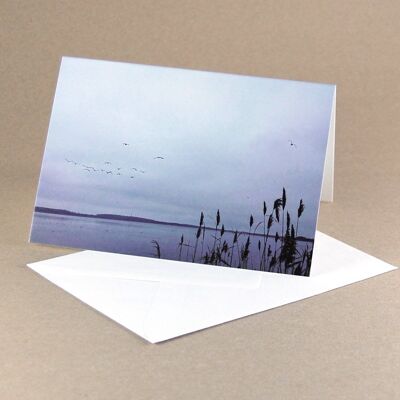 10 cartes de sympathie avec enveloppes lignées : Roseaux au bord du lac