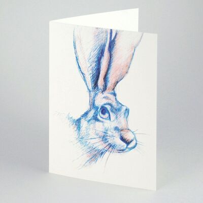 100 greeting cards: rabbit