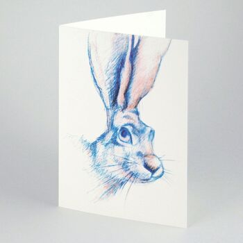 100 cartes de vœux : lapin