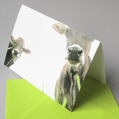 10 divertidas tarjetas de felicitación con sobres verdes de mayo: vaca y ternero