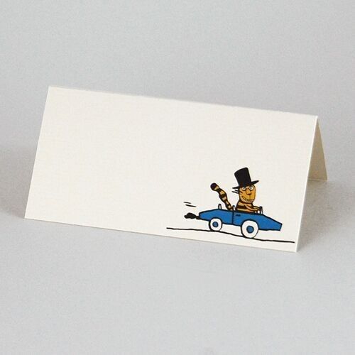 segnaposto per la raccolta differenziata ridotta: postumi di una sbornia in macchina (a destra)