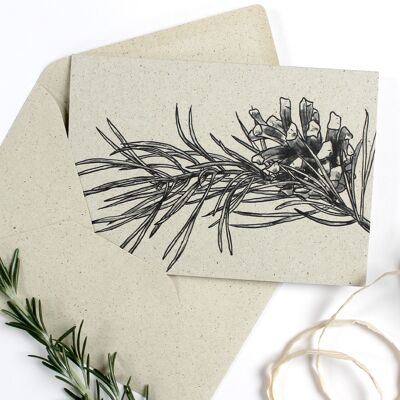 Folded card made of grass paper, pine branch