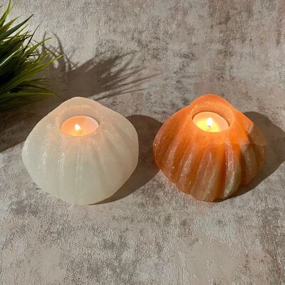 Natural Himalayan Salt Shell Candle Holder Pair (white/pink)