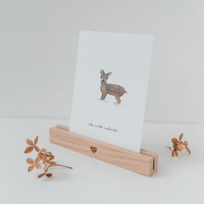 Postcard deer #postcard #germany