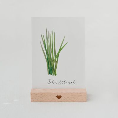 HERBAL CARD CHIVES