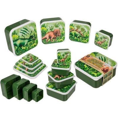 Lunch box, dinosaur, set of 4,