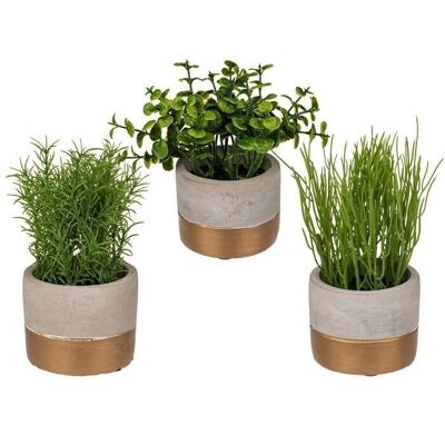 Decorative herbs in grey/gold colored