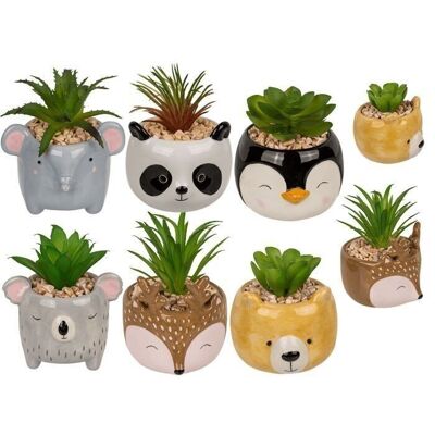 Decorative succulents in a pot, animals,