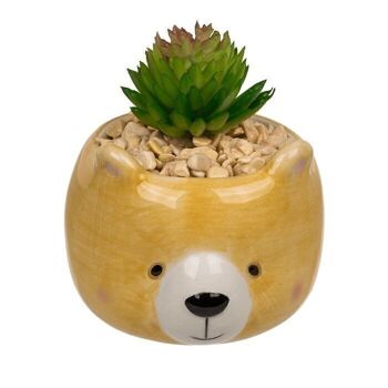 Succulentes décoratives en pot, animaux, 2