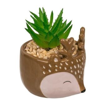 Succulentes décoratives en pot, animaux, 3