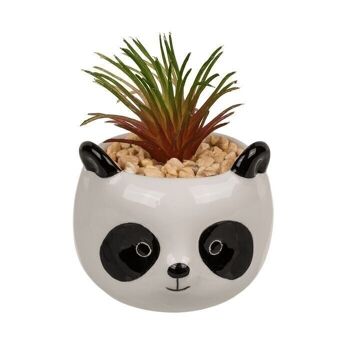 Succulentes décoratives en pot, animaux, 4