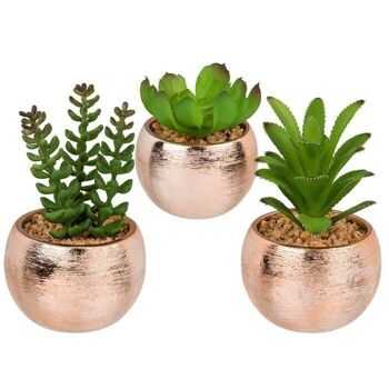 Succulente décorative en pot or rose, 1