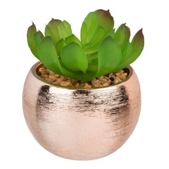 Succulente décorative en pot or rose, 2