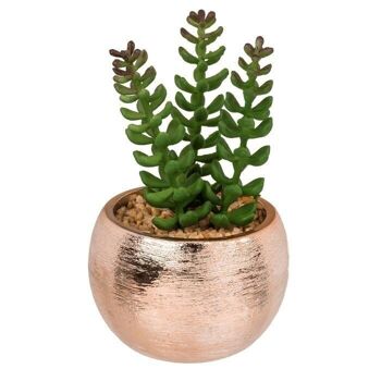 Succulente décorative en pot or rose, 3