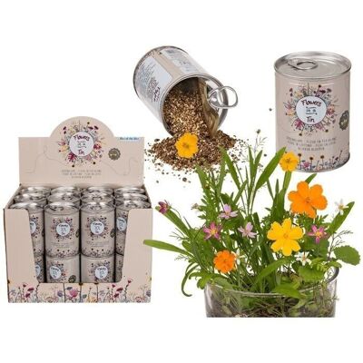 canned flower, flower meadow,