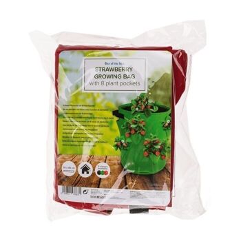 Sachet de fraises avec 8 sachets de plantes, 35 x 42 cm 2