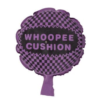 Coussin Whoopee, D : environ 19 cm, 4