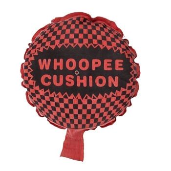 Coussin Whoopee, D : environ 19 cm, 5