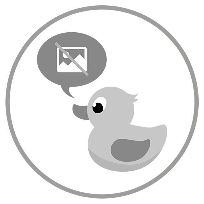 trifoglio fortunato in un vaso di plastica,