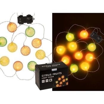 Guirlande lumineuse, fruits, avec 12 LED, 1