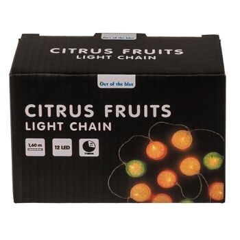 Guirlande lumineuse, fruits, avec 12 LED, 2