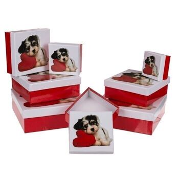 Boîte cadeau rouge/blanc, chien avec coeur, 2