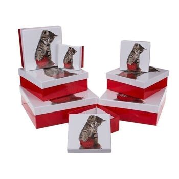 Boîte cadeau rouge/blanc, chat, 1