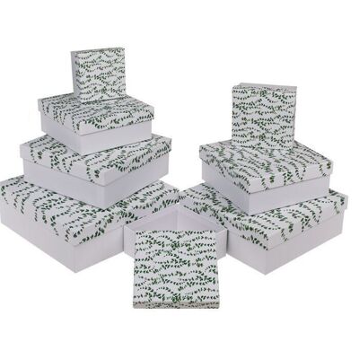 White gift box, eucalyptus,