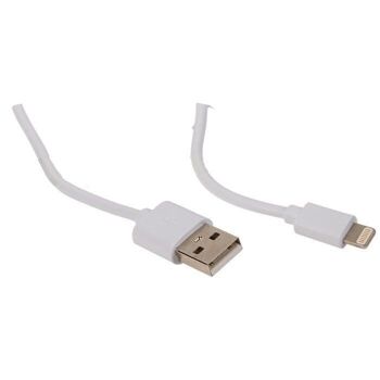 Câble USB blanc pour iPhone, L : environ 1 m, 2