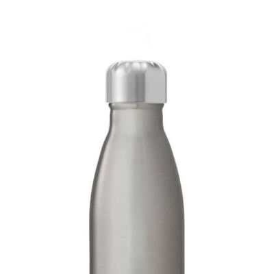 Botella S´Well Silver Lining 260ml