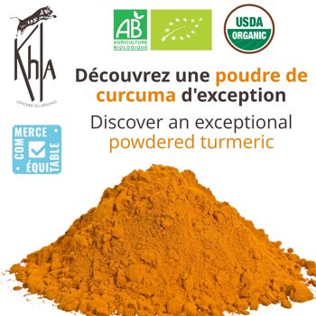 Curcuma en poudre -Sachet 250g 3