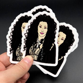80's Cher Sticker Vinyl Sticker (lot de 3) 2