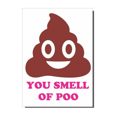 You Smell Of Poo Card  (pack of 6)