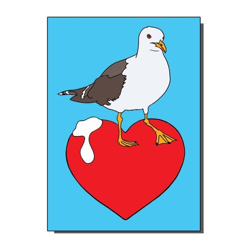 I Love Seagulls Greetings Card (pack of 6)