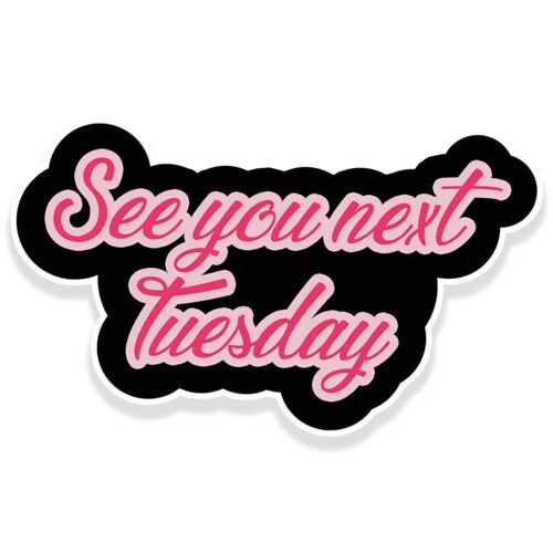 See You Next Tuesday Cunt Vinyl Sticker (pack of 3)