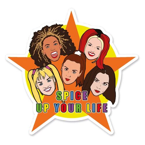 Spice Up Your Life Star Vinyl Sticker (pack of 3)